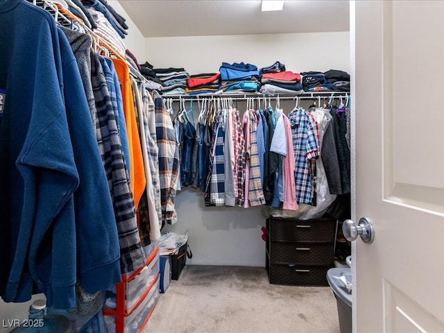 spacious closet featuring carpet floors