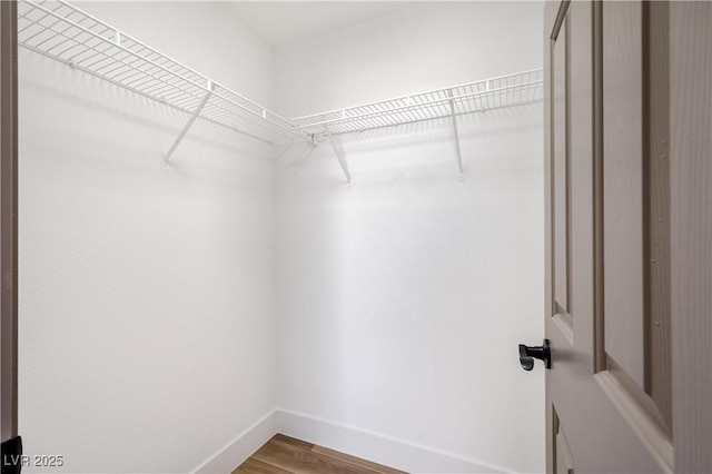 spacious closet featuring wood finished floors