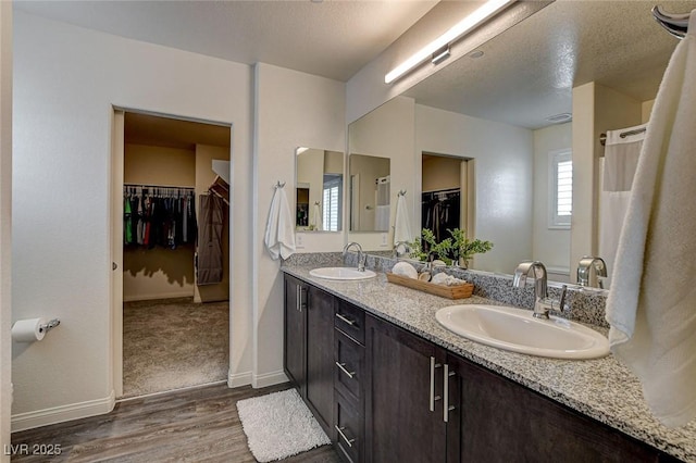 bathroom featuring a walk in closet, double vanity, a sink, and wood finished floors