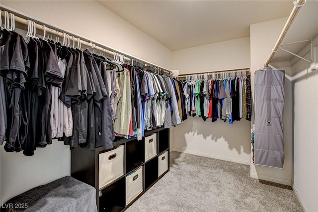 walk in closet with carpet floors