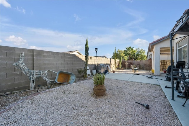 view of yard with a patio area and a fenced backyard