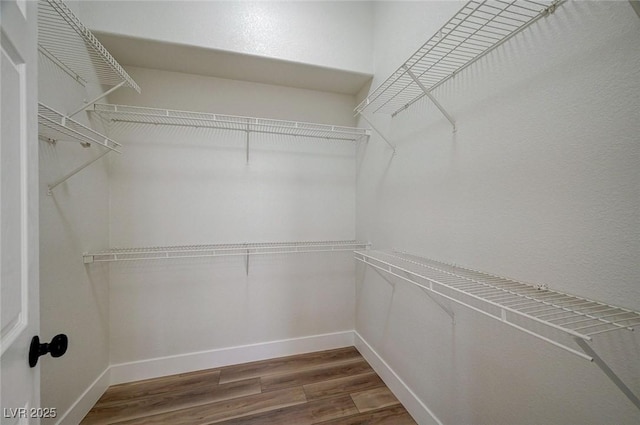 spacious closet featuring wood finished floors