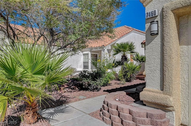 view of property exterior featuring a tile roof and stucco siding