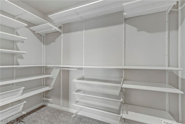 walk in closet with carpet