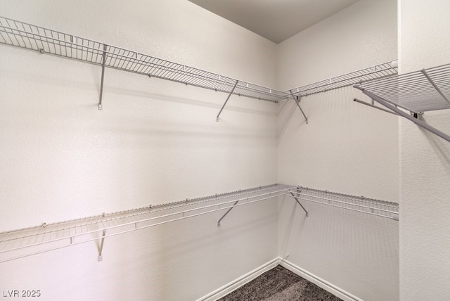 walk in closet with dark carpet