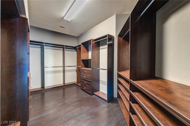 spacious closet with visible vents and dark wood finished floors