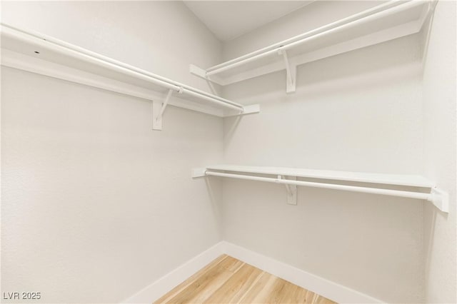 spacious closet featuring light wood-style floors