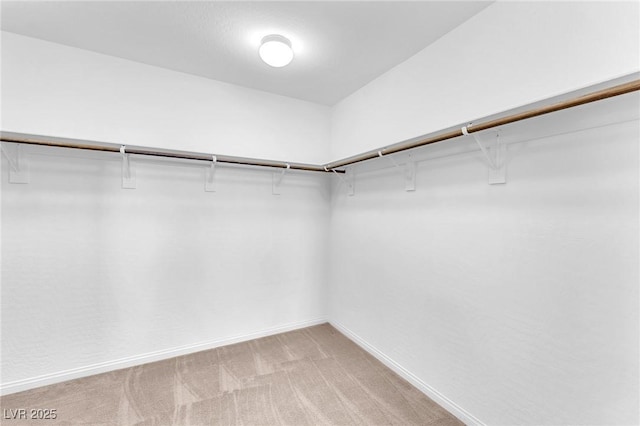 spacious closet featuring light colored carpet