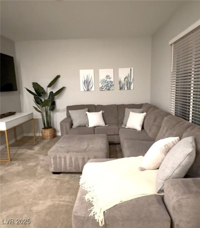 living room featuring carpet