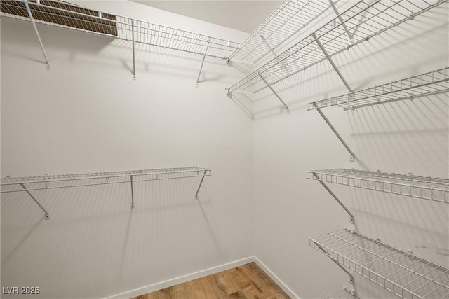 spacious closet featuring wood finished floors