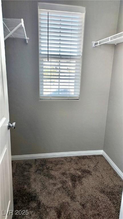 spacious closet featuring carpet