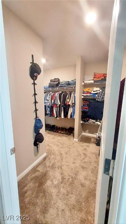 spacious closet with carpet floors