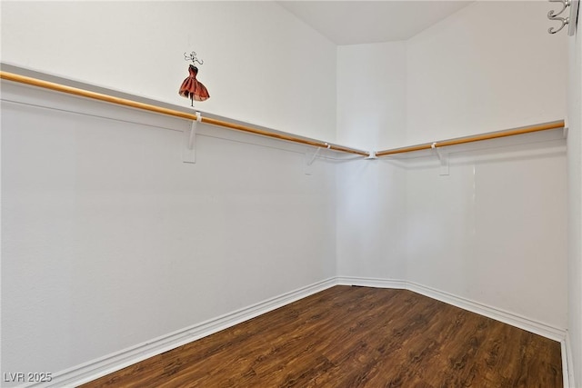 spacious closet featuring dark wood finished floors