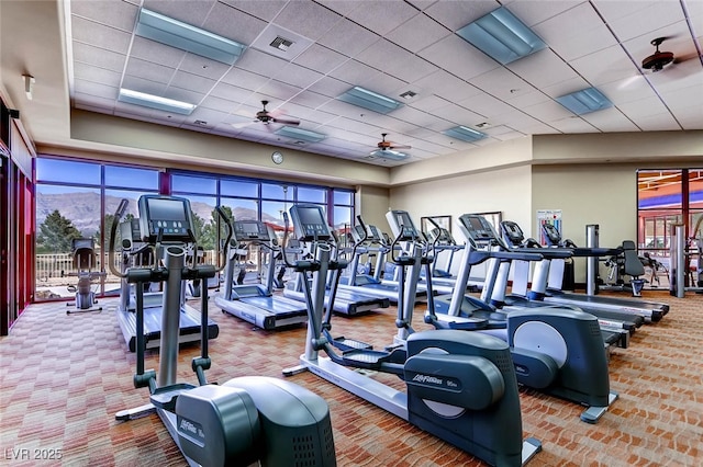 exercise room with ceiling fan, visible vents, and a drop ceiling