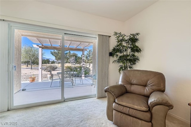 sitting room featuring carpet floors