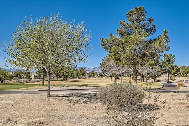 view of property's community with a mountain view