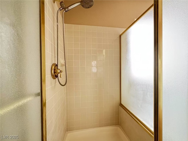 bathroom with a shower stall