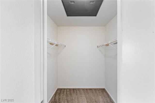 5265 Caspian Springs Dr Unit 201, Las Vegas, NV 89120 - walk in closet with carpet
