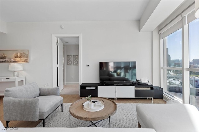 living room featuring baseboards and wood finished floors