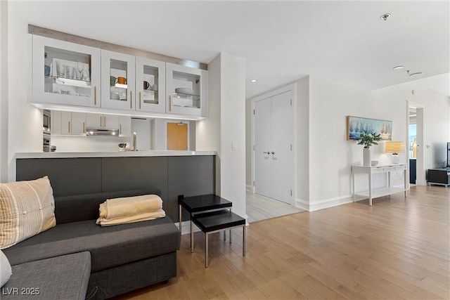 living area featuring baseboards, light wood finished floors, and recessed lighting