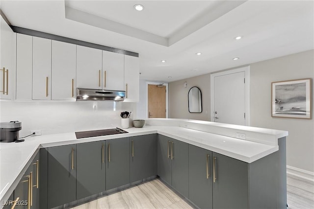 kitchen featuring a peninsula, a tray ceiling, gray cabinets, and under cabinet range hood