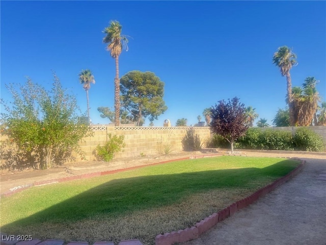 4194 Greenpoint St, Las Vegas, NV 89147 - view of yard