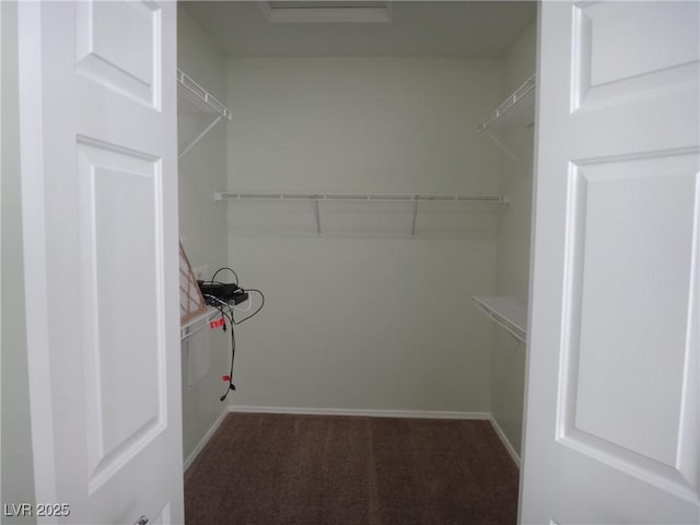 spacious closet featuring carpet floors