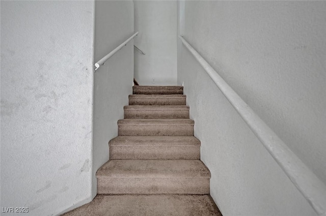 stairs featuring carpet floors