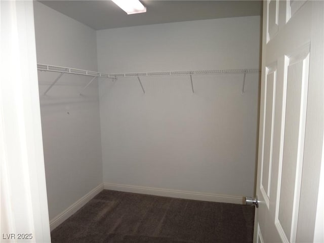 spacious closet with carpet floors