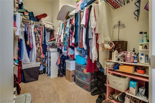 walk in closet with carpet floors