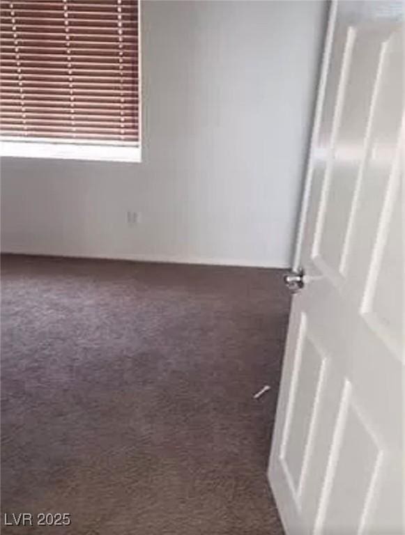 spare room with carpet floors