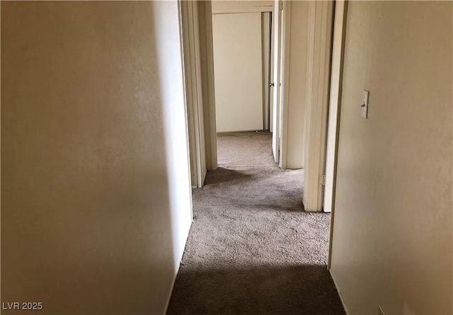 hallway featuring carpet floors