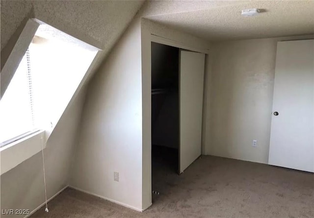 additional living space featuring carpet and a textured ceiling