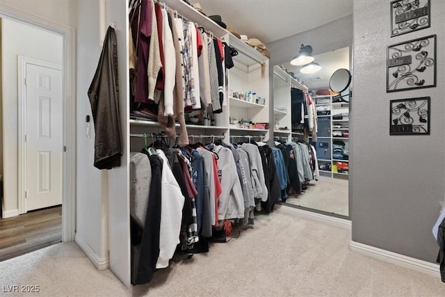 walk in closet featuring carpet