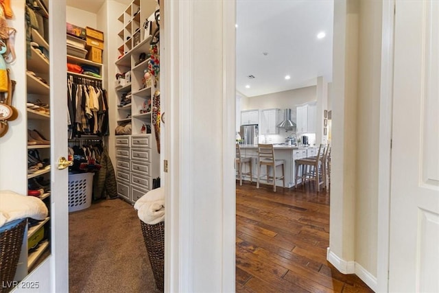 spacious closet featuring dark wood-type flooring