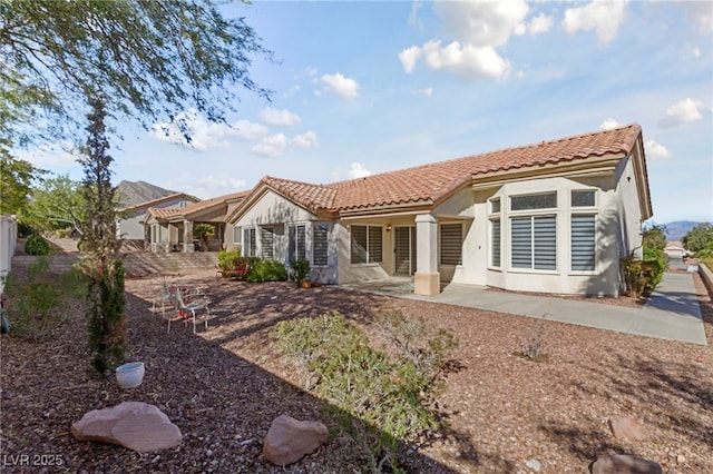 rear view of house featuring a patio area, a tiled roof, and stucco siding