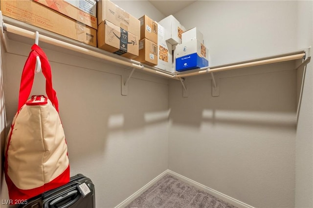 spacious closet featuring carpet flooring