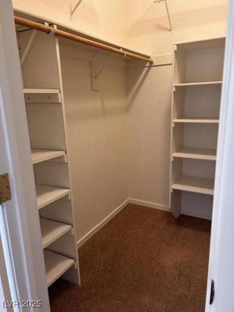 walk in closet with dark carpet