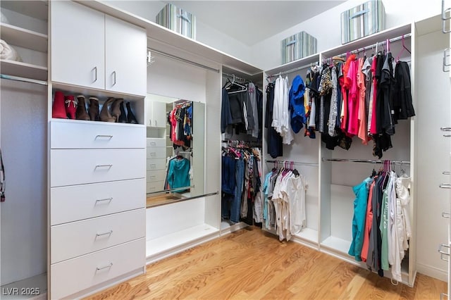 walk in closet with light wood-style flooring