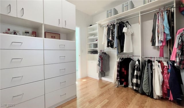 walk in closet with light wood-style flooring