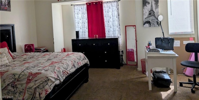 3681 Hidden Beach Ct, Las Vegas, NV 89115 - bedroom featuring carpet flooring