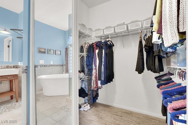 view of spacious closet