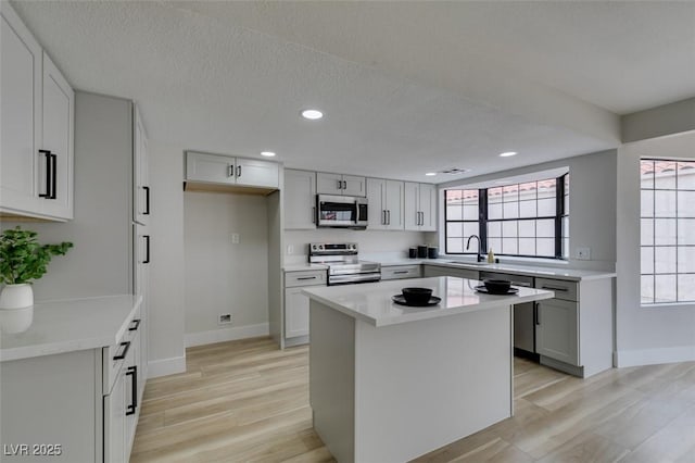 kitchen featuring a sink, light wood-type flooring, a wealth of natural light, and stainless steel appliances