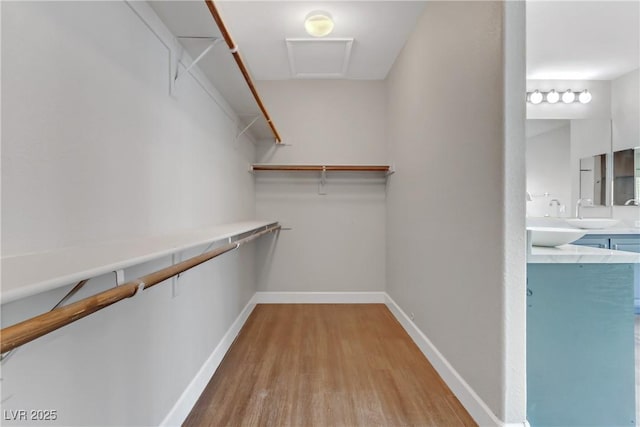 spacious closet with attic access, light wood-type flooring, and a sink