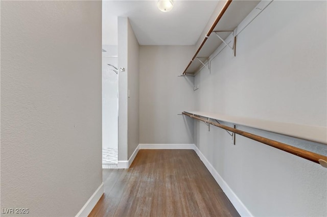 spacious closet with wood finished floors