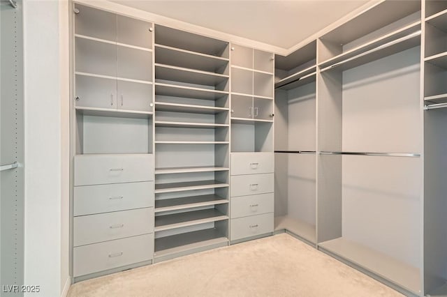 spacious closet with carpet floors