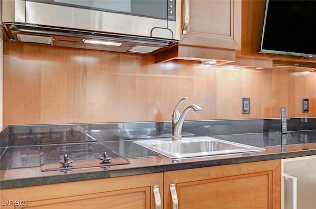 kitchen with stainless steel microwave, dark countertops, and a sink