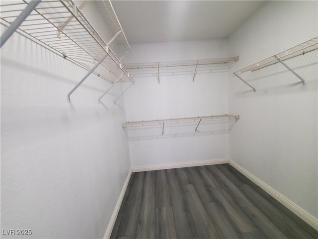 walk in closet featuring dark wood-type flooring