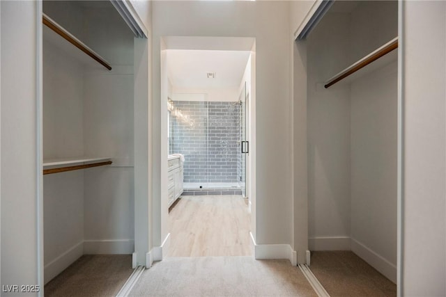 spacious closet featuring carpet floors