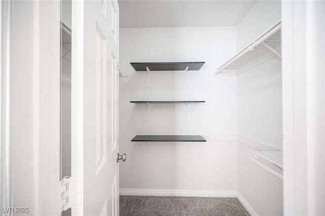 spacious closet featuring carpet floors and attic access